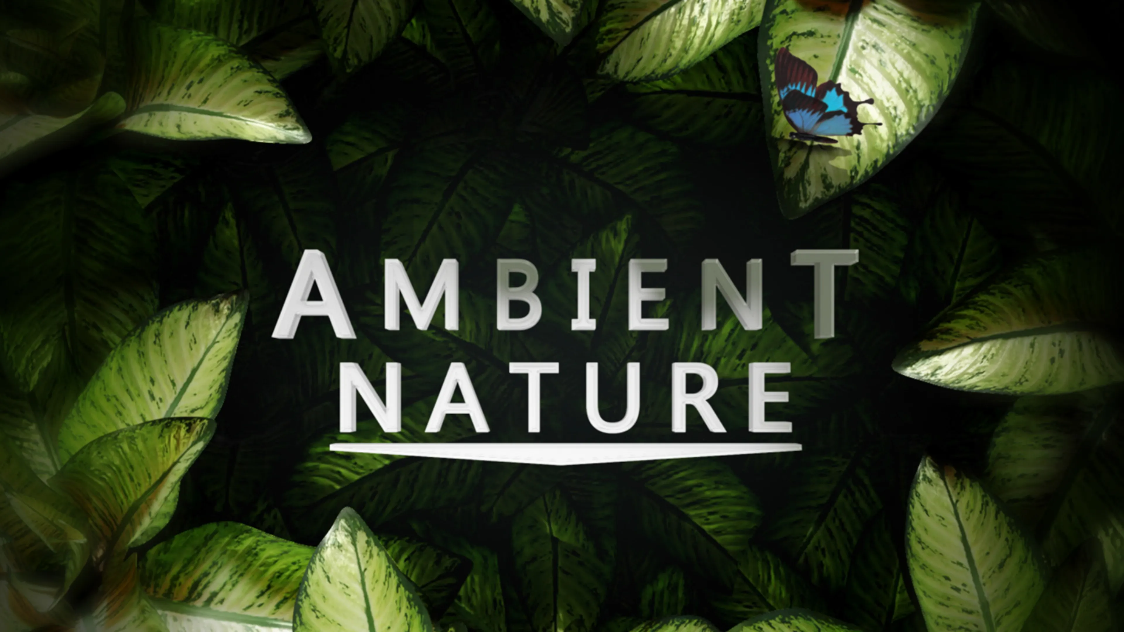 Ambient Nature poster